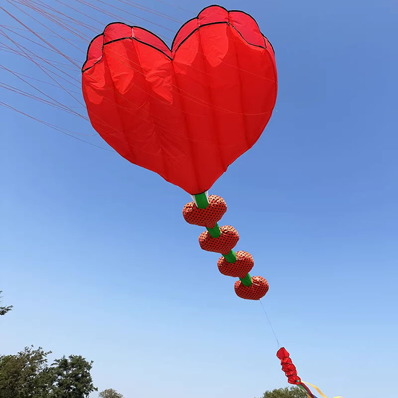 2026 New Heart Shape Kite Soft - Kids Outdoor Area 评论和价格