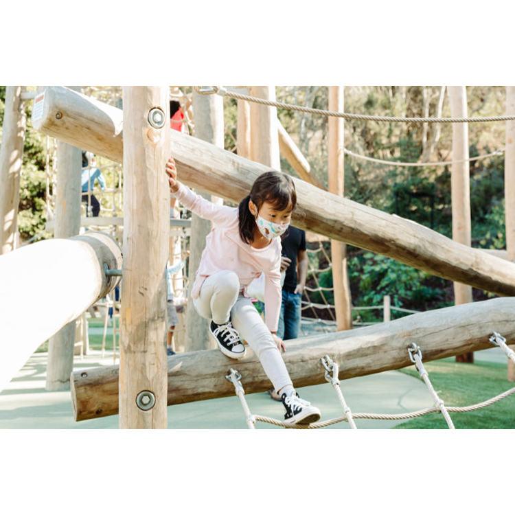Kids Playground Outdoor Play S - Kids Outdoor Climbing Frame 评论和价格